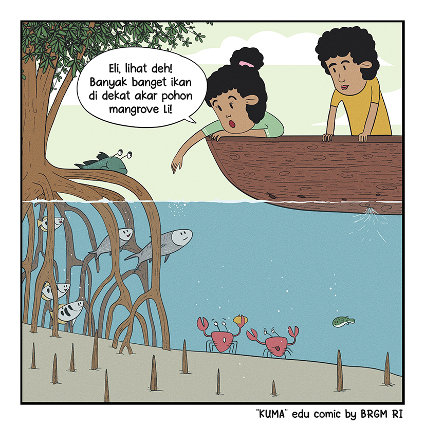 Image 1 - 21